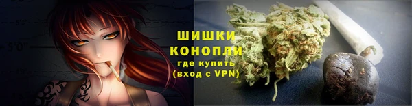 apvp Богородск